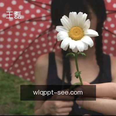 王磊